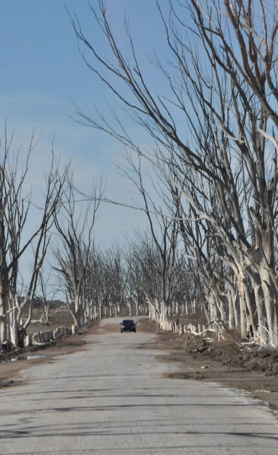 Ruinas de Villa Epecuén