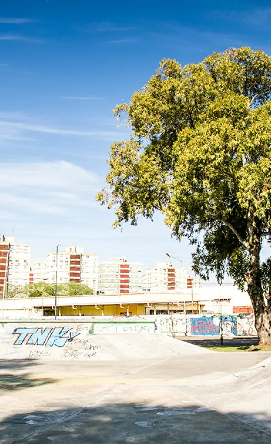 Skate Park Mauro Sabino