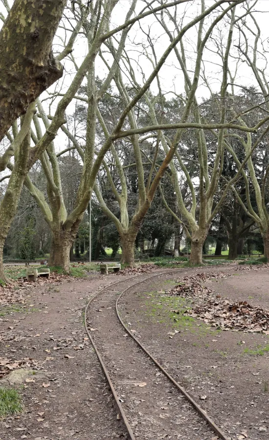 Parque Municipal Domingo Faustino Sarmiento