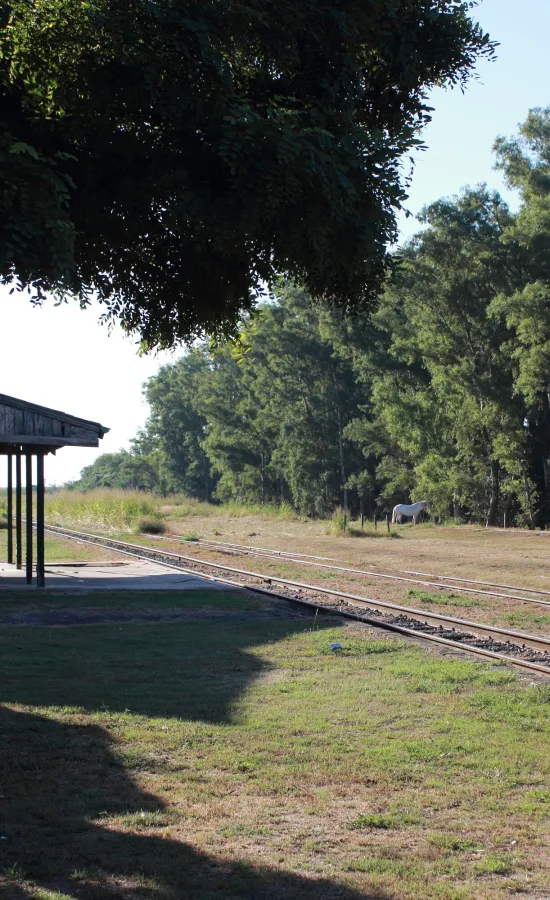 Estación de trenes Santa Coloma 