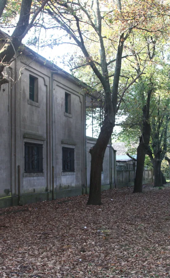 Escuela Secundaria María Teresa