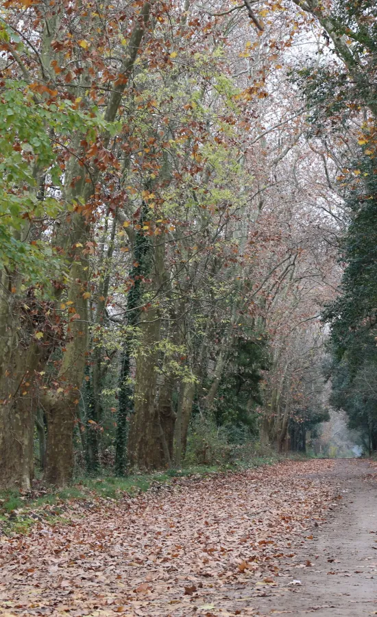 Parque Pereyra Iraola