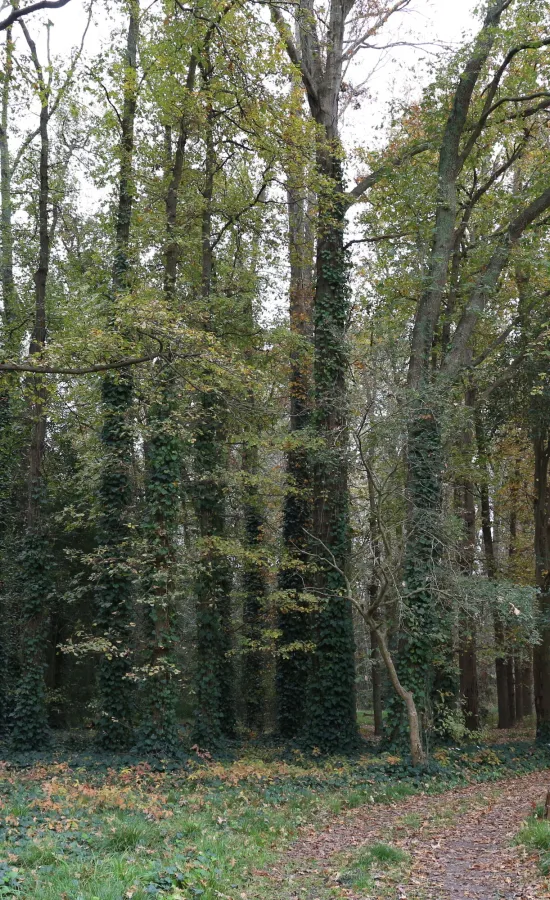 Parque Pereyra Iraola