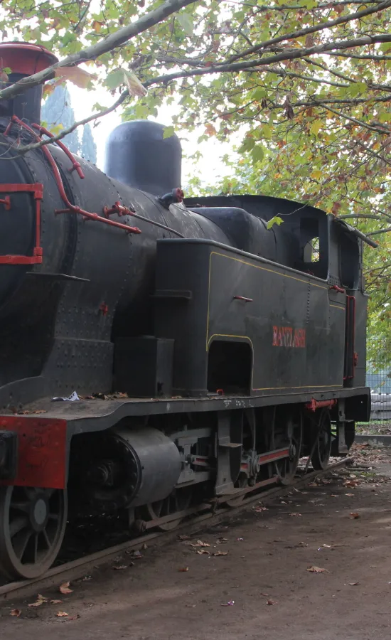 Estación Ranelagh (General Roca)