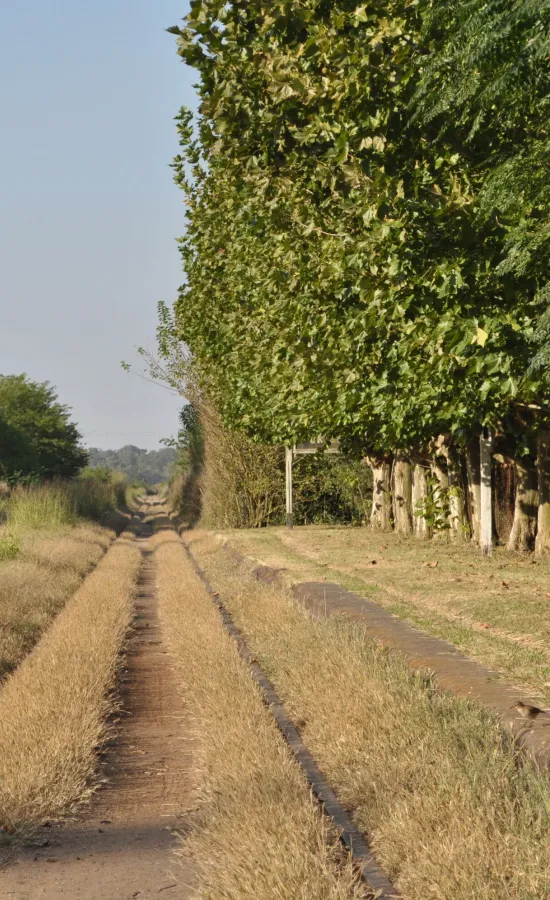 Estación Uribelarrea (General Roca)