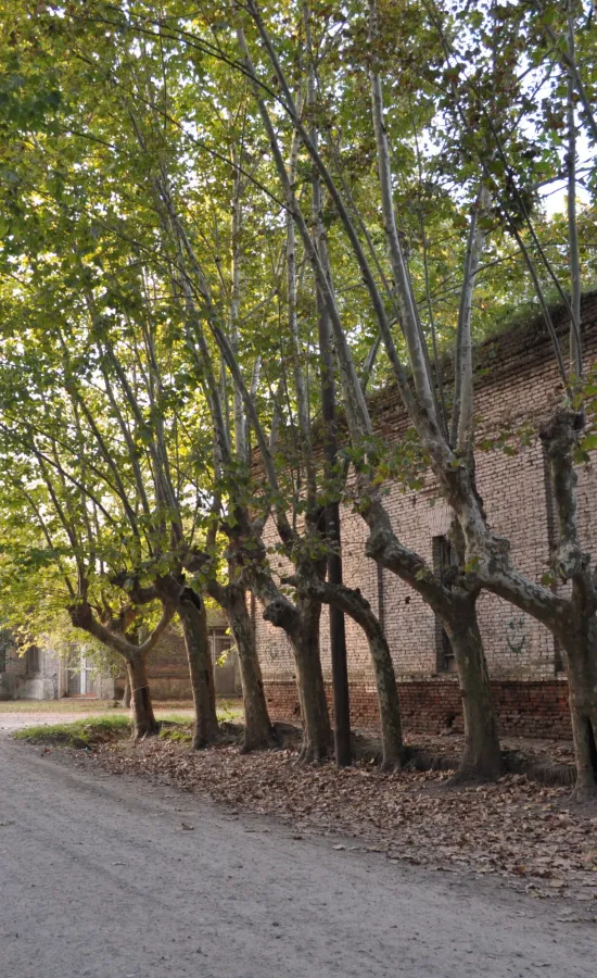 Calles internas de Uribelarrea