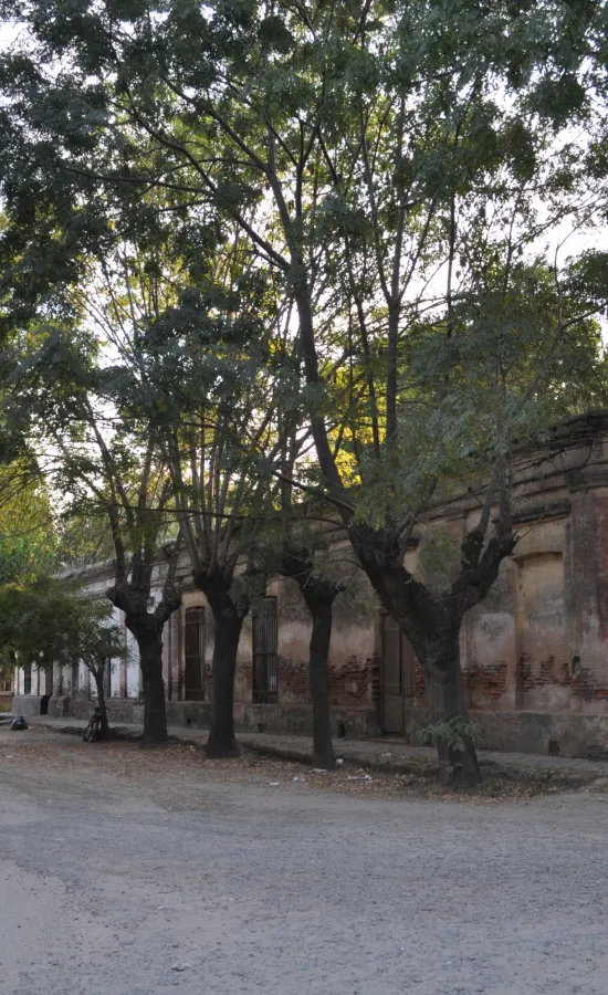 Calles internas de Uribelarrea