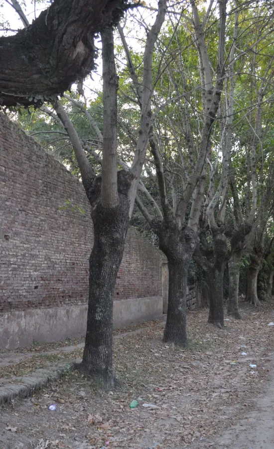 Calles internas de Uribelarrea