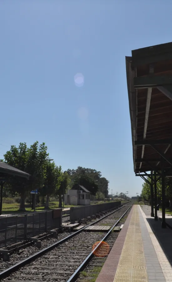 Estación Vicente Casares (General Roca)