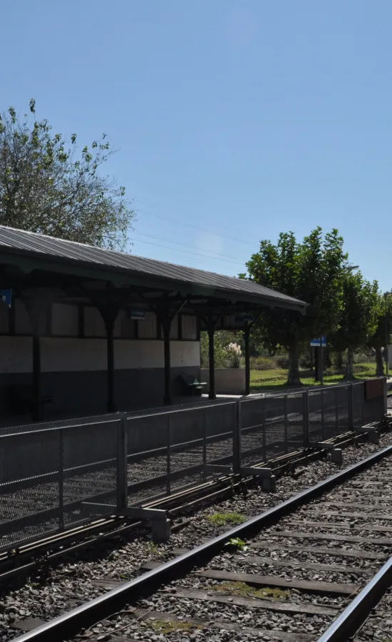 Estación Vicente Casares (General Roca)