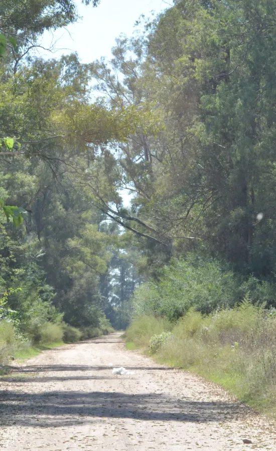 Estancia San Martín