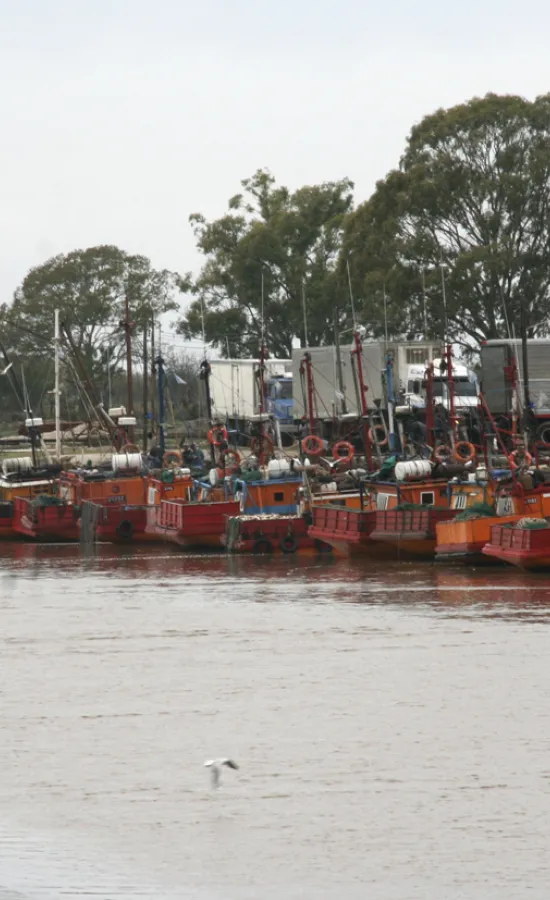 Puerto Boca Salado