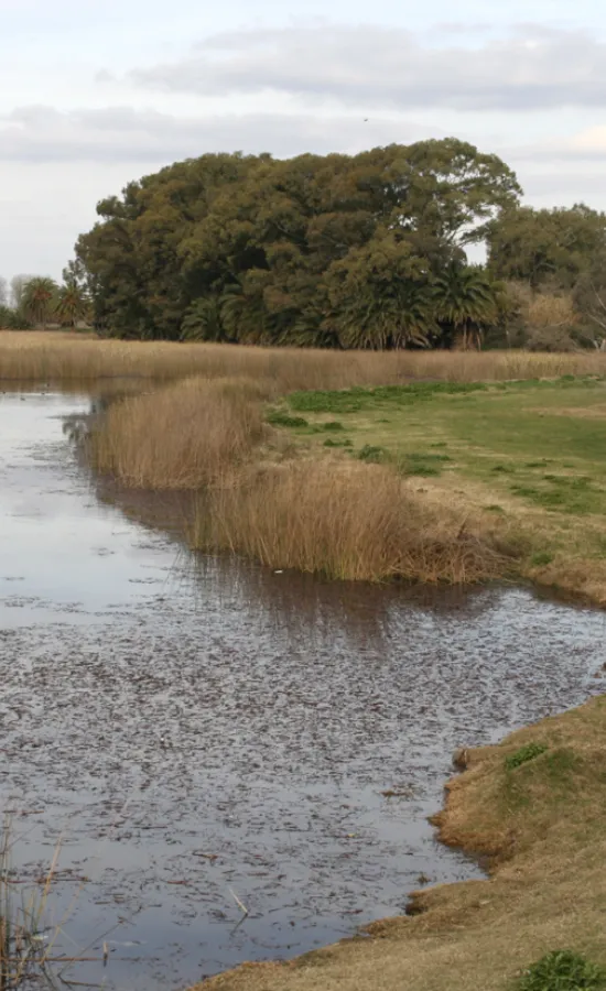 Laguna La Rosita