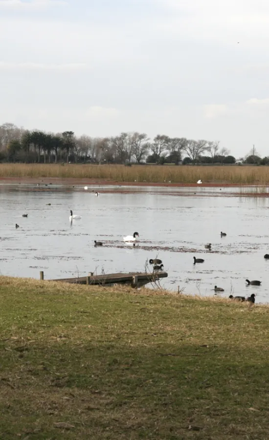 Laguna La Rosita