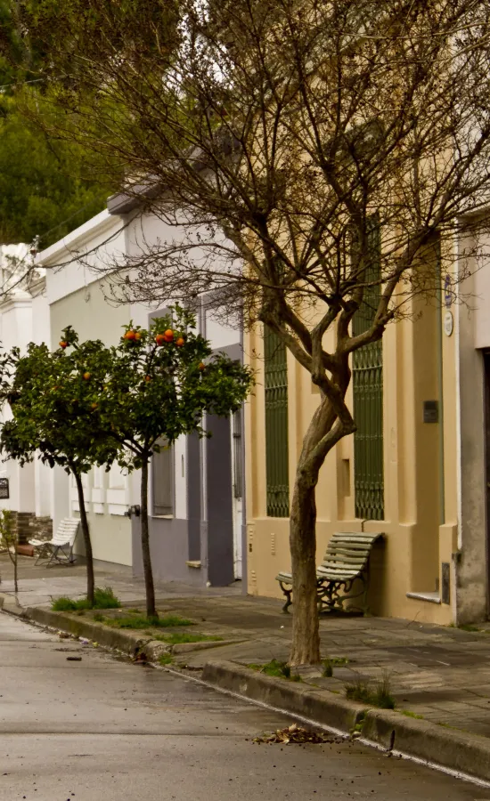 Calles internas de Chascomús