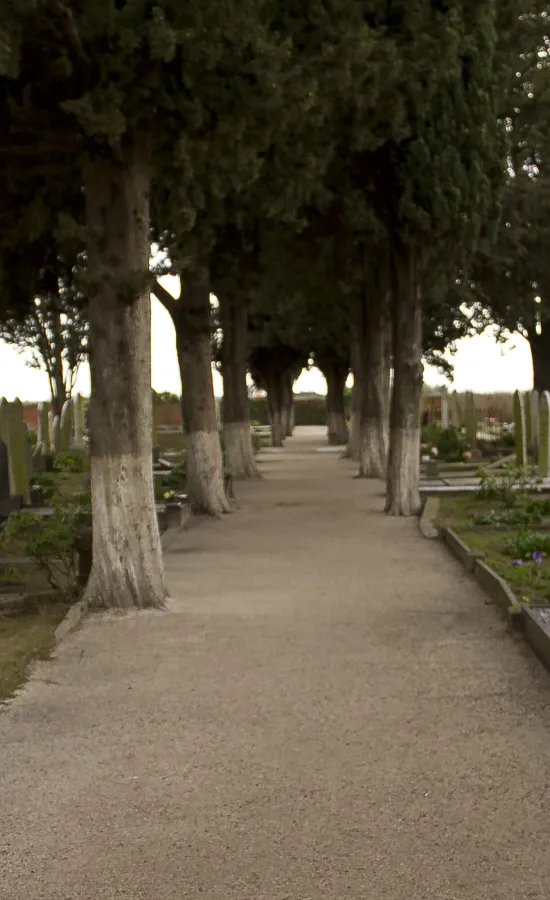 Cementerio San Andrés