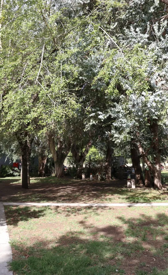 Camping Parque la Palmera