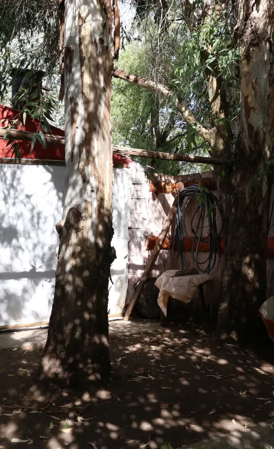 Camping Parque la Palmera