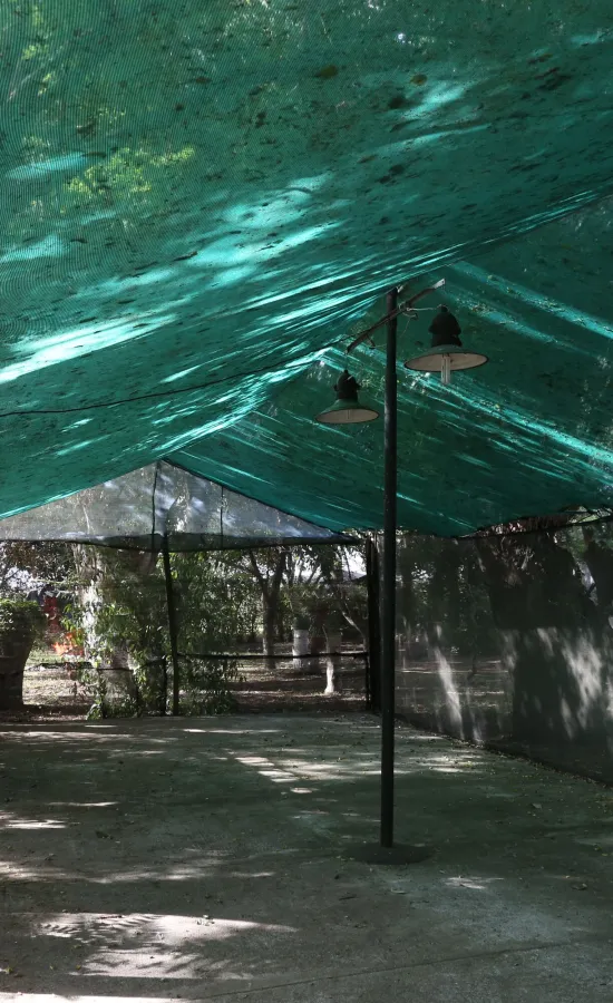 Camping Parque la Palmera