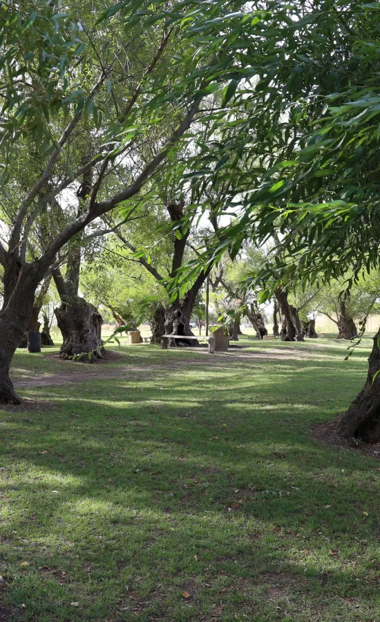 Centro recreativo Domingo Nicolás Moccero