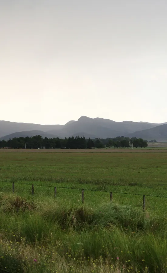 Sierras de Coronel Suárez