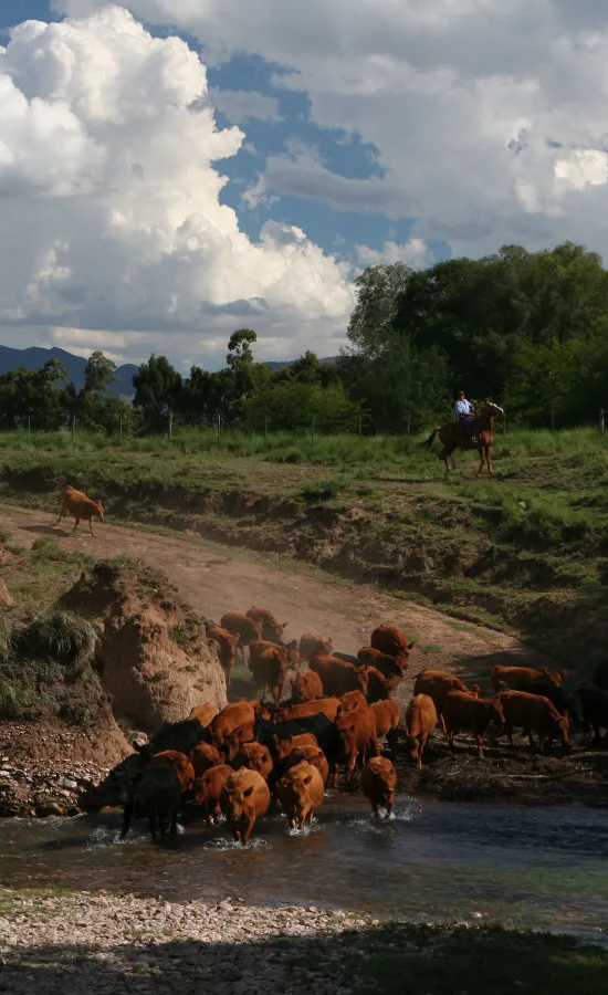 Sierras de Coronel Suárez