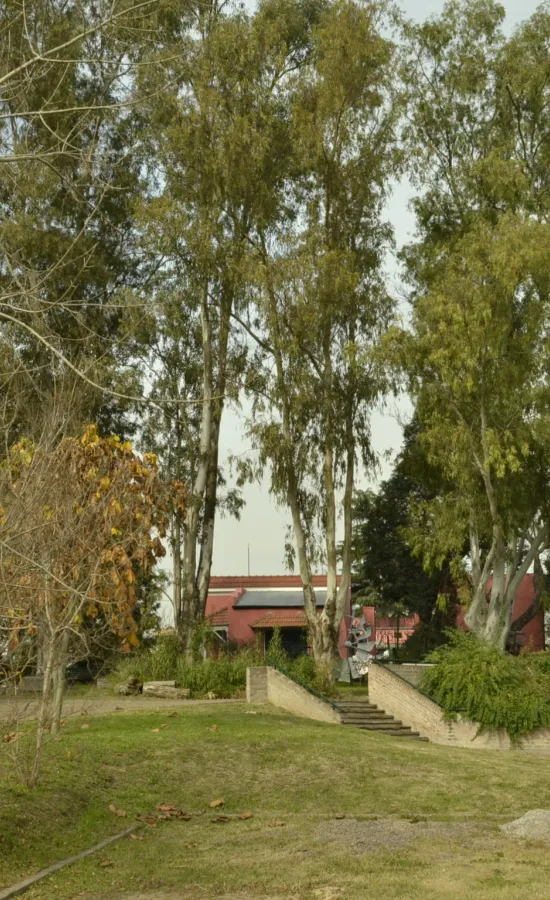 Museo de La Campana Bafilma