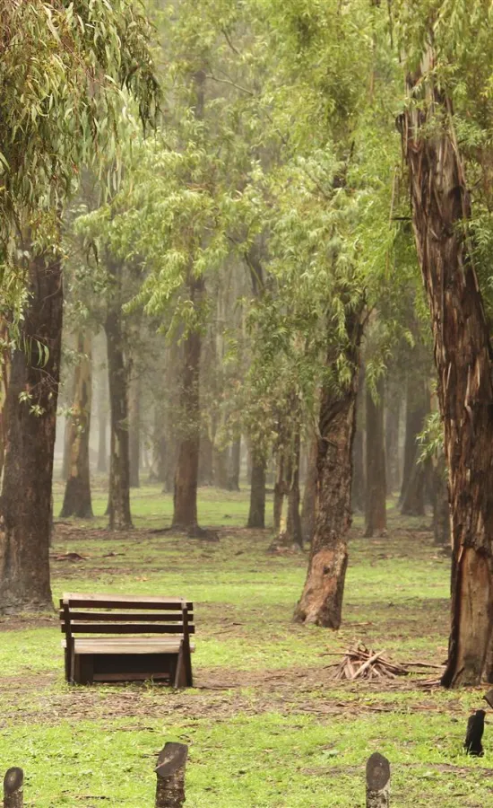 Bosques de Ezeiza