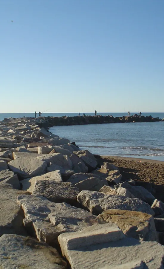 Costanera de Miramar