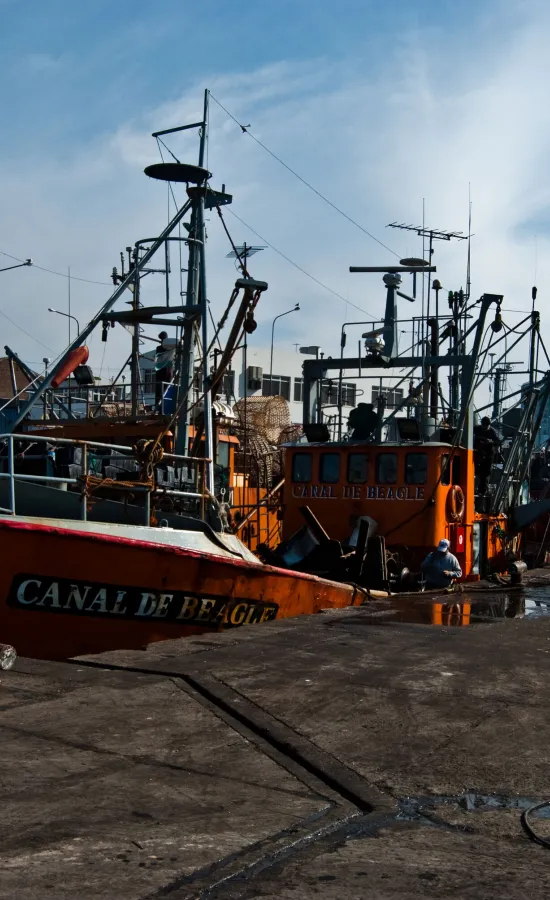Puerto de Mar del Plata