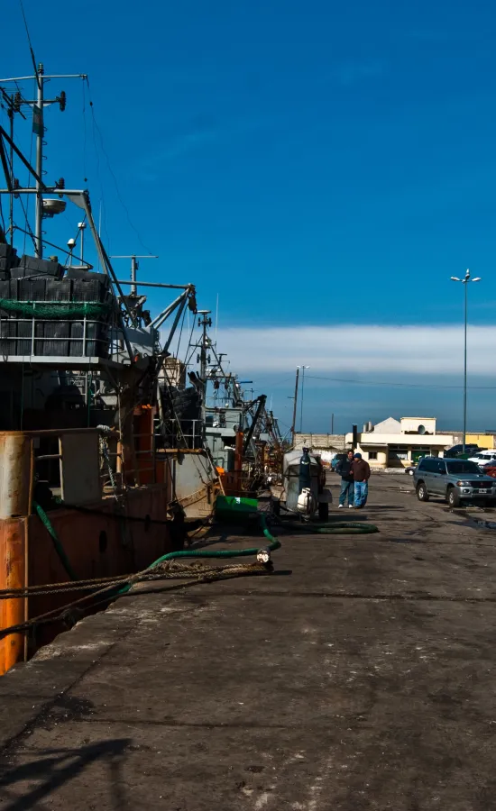 Puerto de Mar del Plata