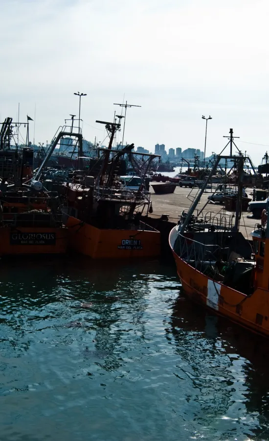 Puerto de Mar del Plata
