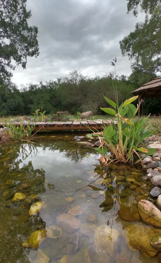 Laureles Holístico