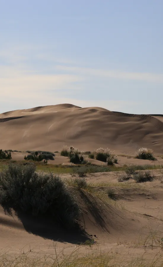 Medanos Balneario San Cayetano