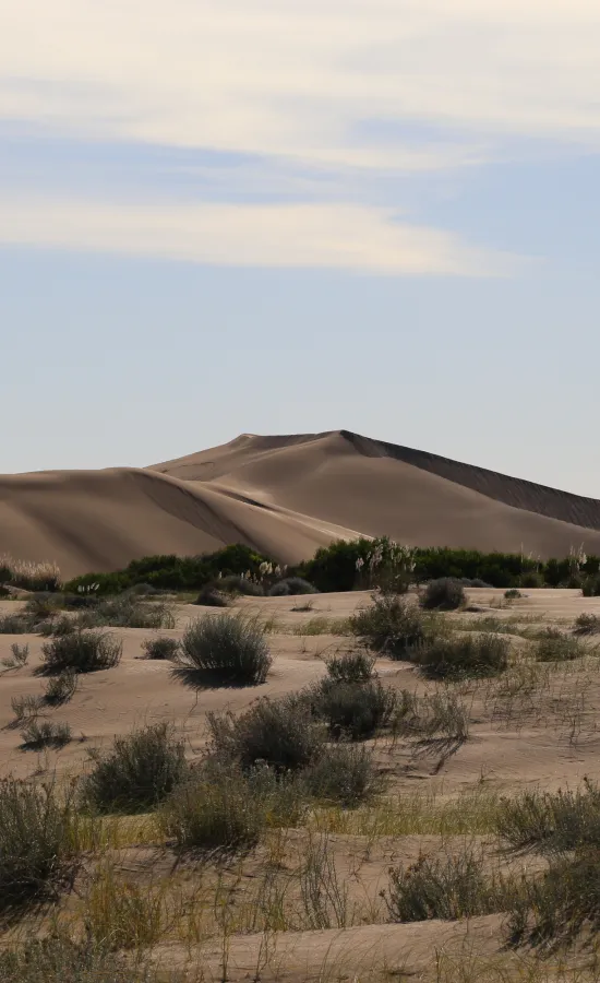 Medanos Balneario San Cayetano