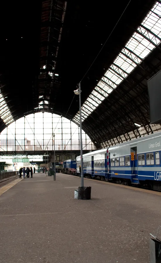 Estación La Plata (Roca)