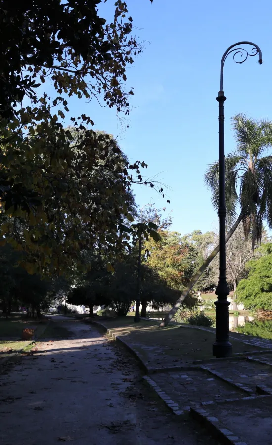 Lago del Bosque