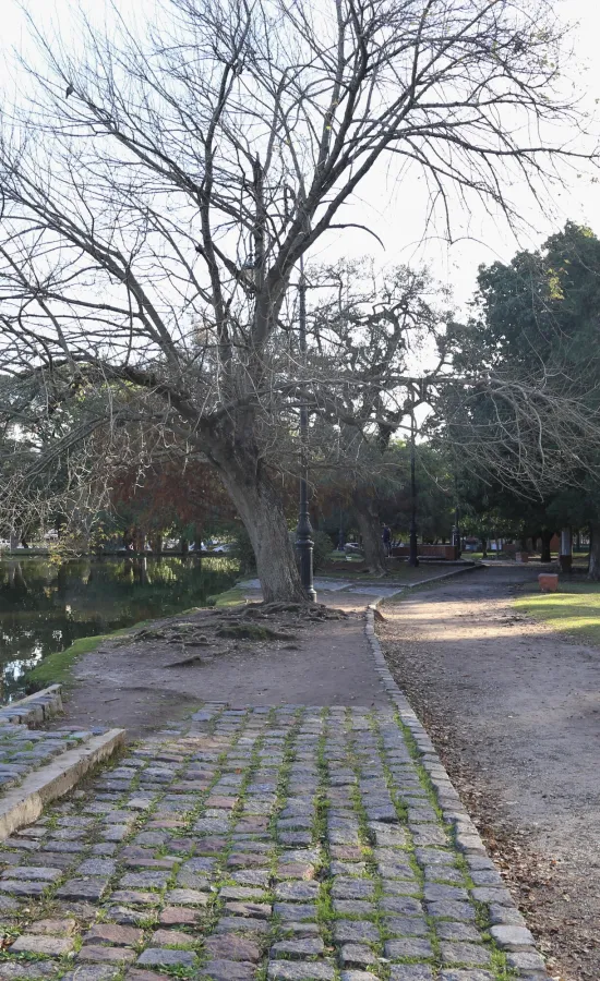 Lago del Bosque