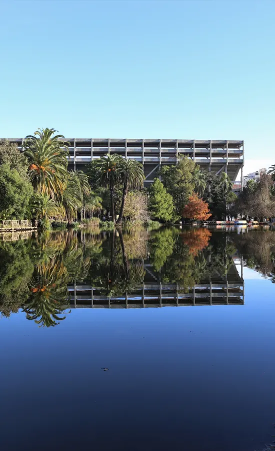 Lago del Bosque