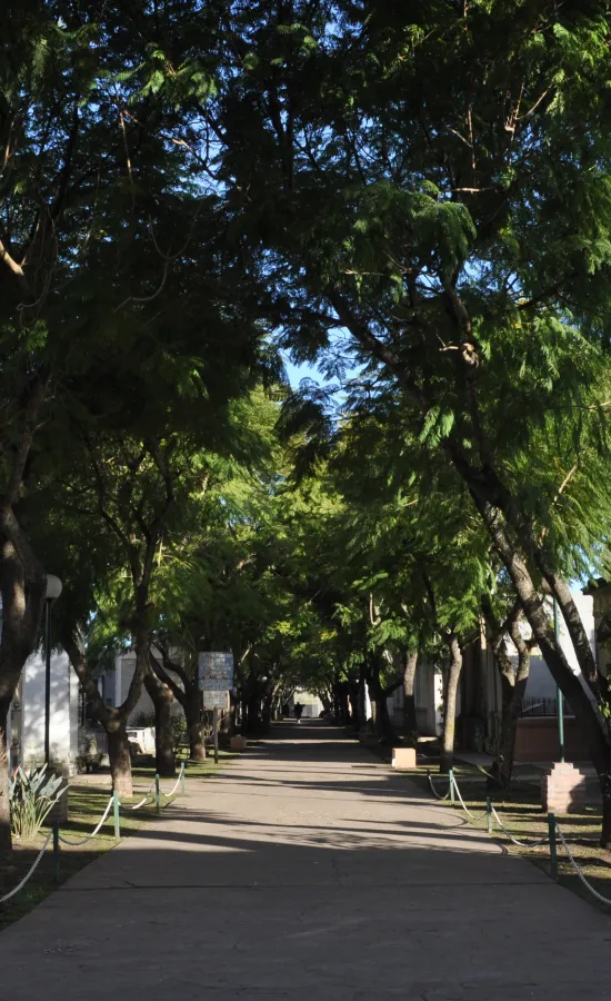 Cementerio Municipal de Lobos