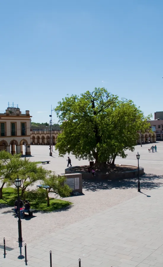 Plaza Belgrano