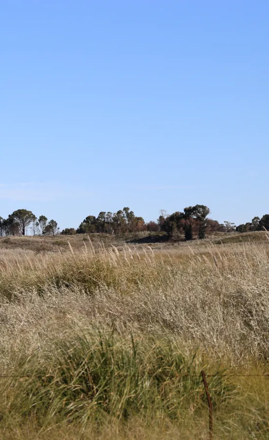 Camino sinuoso Este - Oeste