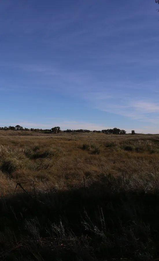 Camino sinuoso Este - Oeste