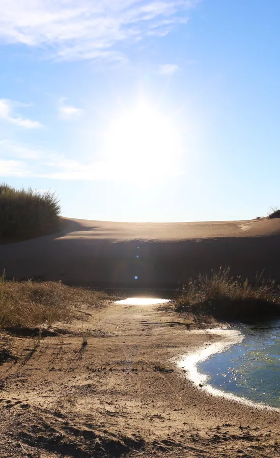 Medanos blancos