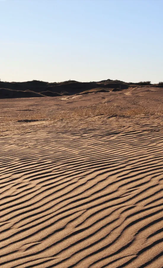 Medanos blancos