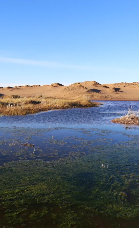 Medanos blancos