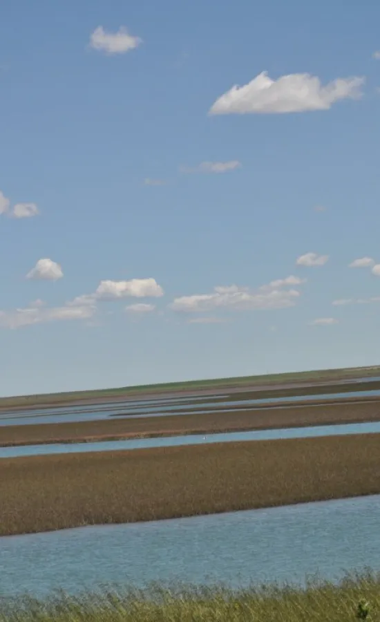 Ría de Bahía San Blas