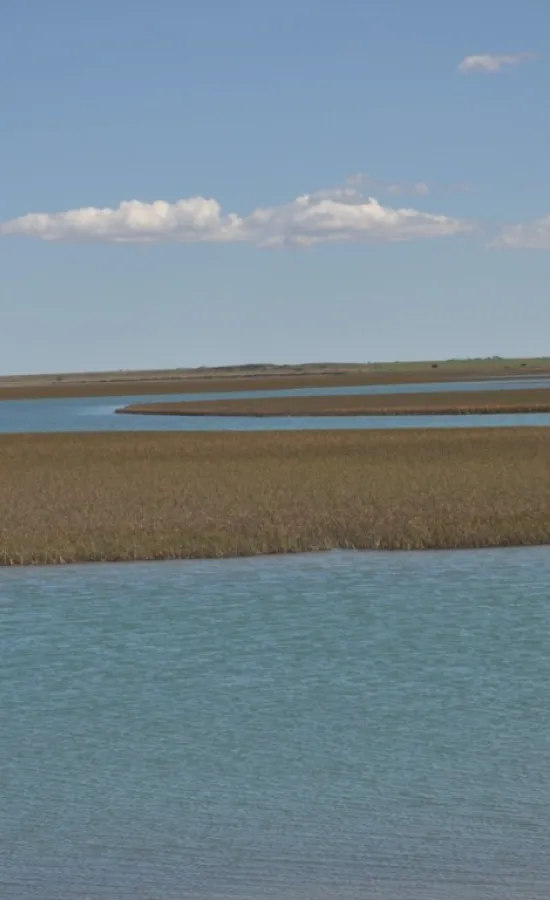 Ría de Bahía San Blas