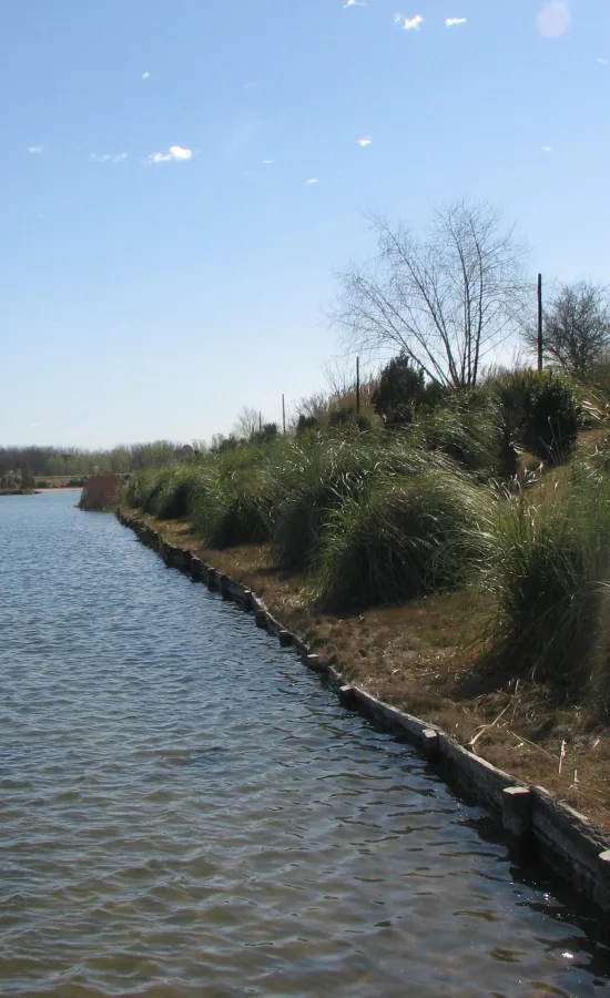 Lagos del Rocío