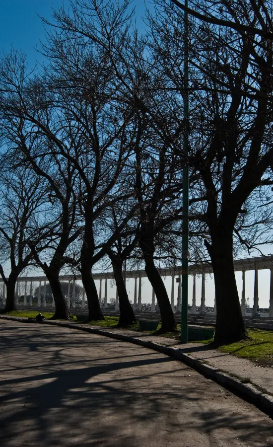 Quilmes - Desde La Ventana